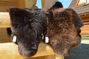 Овечья шкура средний ворс большая Коричневая