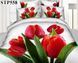 Комплект постельного белья Love You семейный 3D Блеск Stp558
